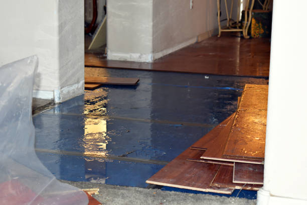 Professional Basement Flood Cleanup technician working in Cortland, NY